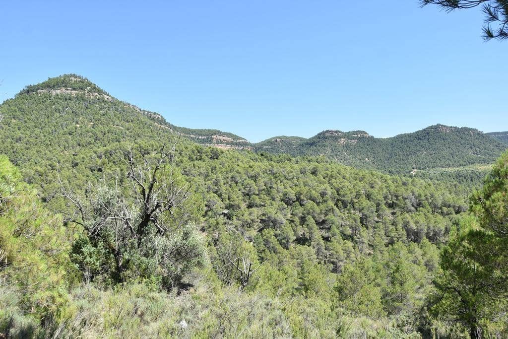 Quinta/Casa Rural para venda em Fuentespalda - 14 500 € (Ref: 9150310)