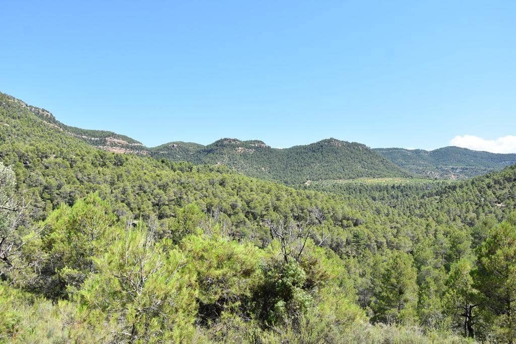 Quinta/Casa Rural para venda em Fuentespalda - 14 500 € (Ref: 9150310)