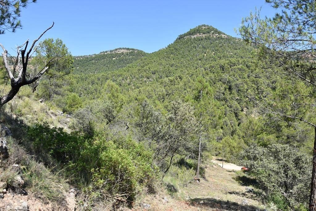 Quinta/Casa Rural para venda em Fuentespalda - 14 500 € (Ref: 9150310)