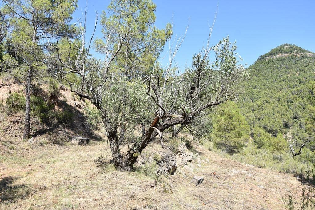 Quinta/Casa Rural para venda em Fuentespalda - 14 500 € (Ref: 9150310)