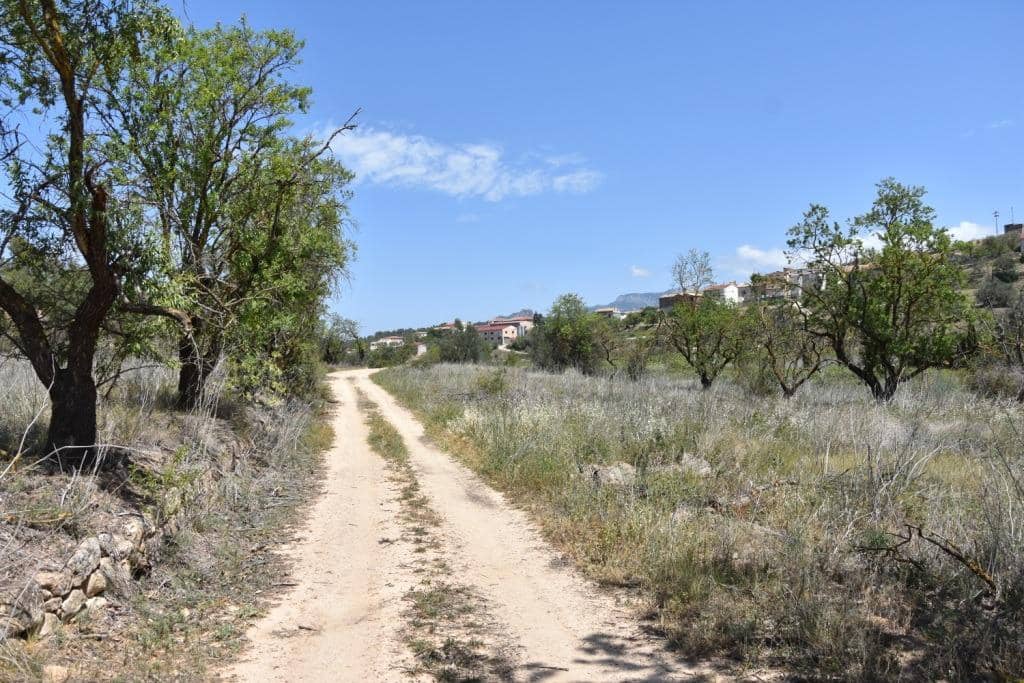 Terreno/Finca Rústica en Lledó en venta - 20.500 € (Ref: 9150315)