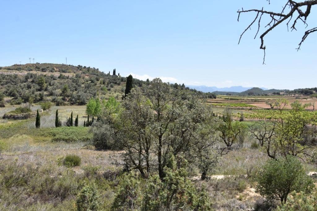 Terreno/Finca Rústica en Lledó en venta - 20.500 € (Ref: 9150315)