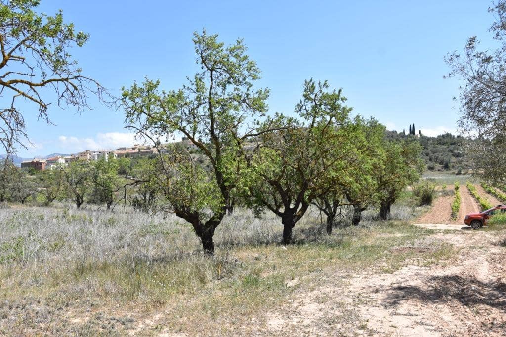 Terreno/Finca Rústica en Lledó en venta - 20.500 € (Ref: 9150315)