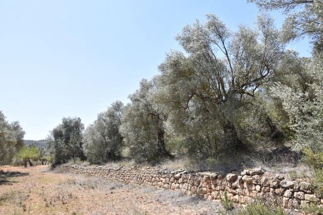 Undeveloped Land for sale in Lledó - € 20,500 (Ref: 9150315)