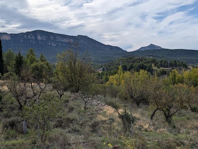 Finca/Landhuis te koop in Valderrobres - € 20.000 (Ref: 9150326)