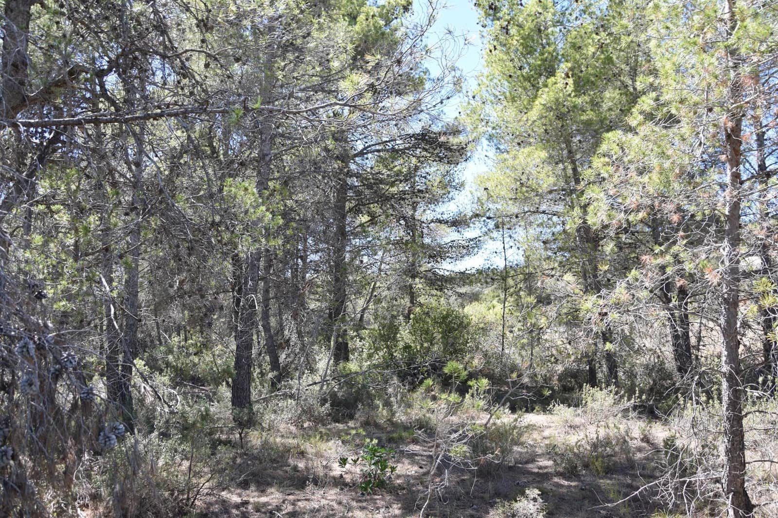 Finca/Landehus til salg i Lledo - € 15.000 (Ref: 9150329)