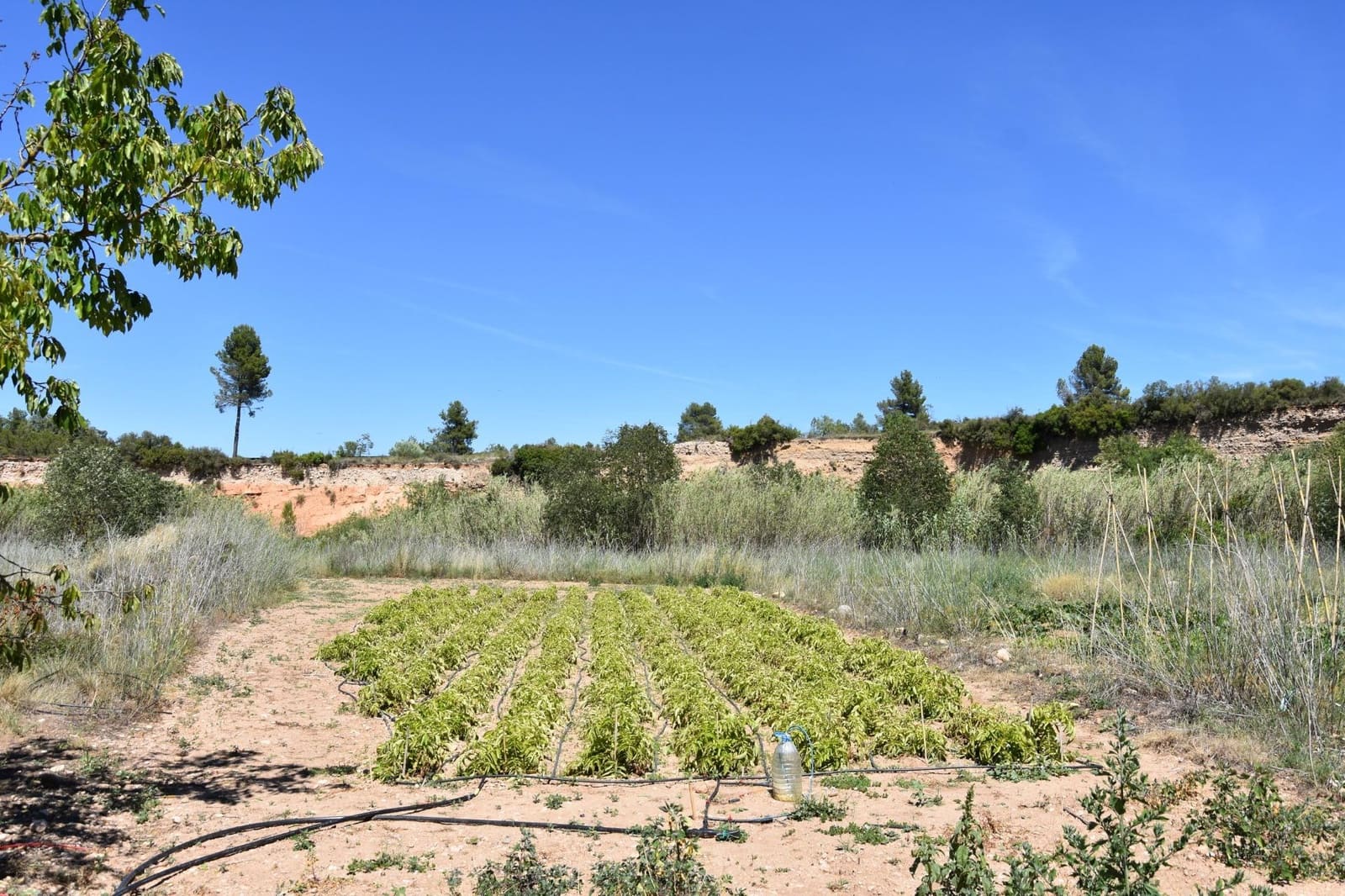 Finca/Landhuis te koop in Lledo - € 6.000 (Ref: 9150330)