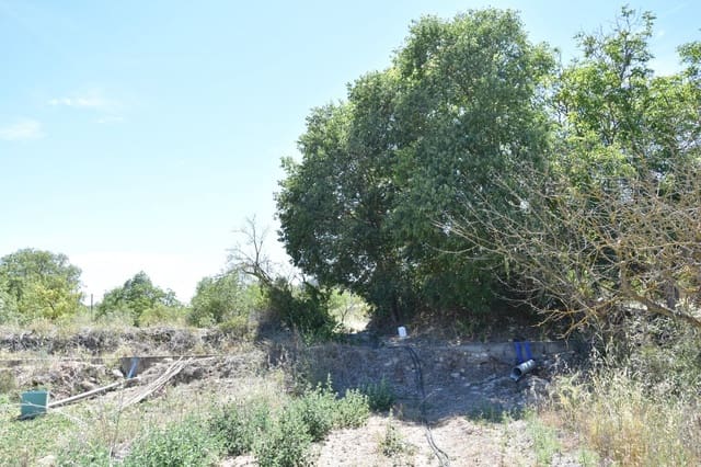 Finca/Landhuis te koop in Lledó - € 6.000 (Ref: 9150330)