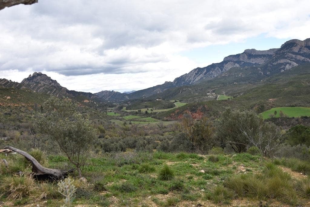 Finca/Country House for sale in Horta de Sant Joan - € 7,700 (Ref: 9150332)