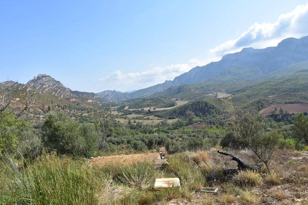 Finca/Country House for sale in Horta de Sant Joan - € 7,700 (Ref: 9150332)