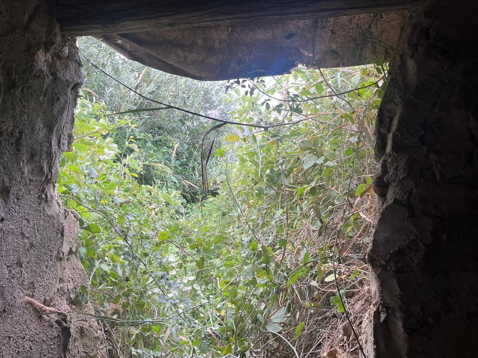 Finca/Country House for sale in Horta de Sant Joan - € 7,700 (Ref: 9150332)