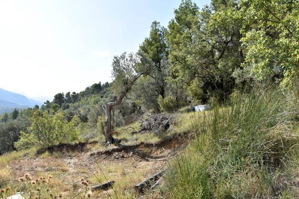 Finca/Country House for sale in Horta de Sant Joan - € 7,700 (Ref: 9150332)