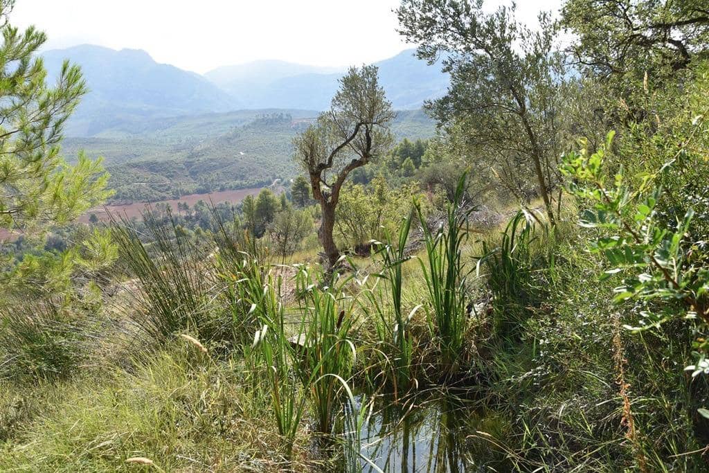 Finca/Country House for sale in Horta de Sant Joan - € 7,700 (Ref: 9150332)