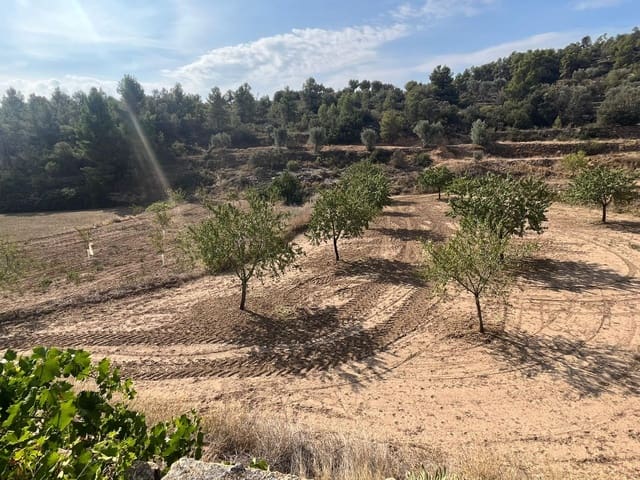 1 slaapkamer Finca/Landhuis te koop in Valjunquera - € 42.000 (Ref: 9150335)