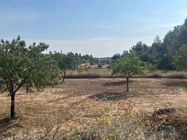 1 slaapkamer Finca/Landhuis te koop in Valjunquera - € 42.000 (Ref: 9150335)