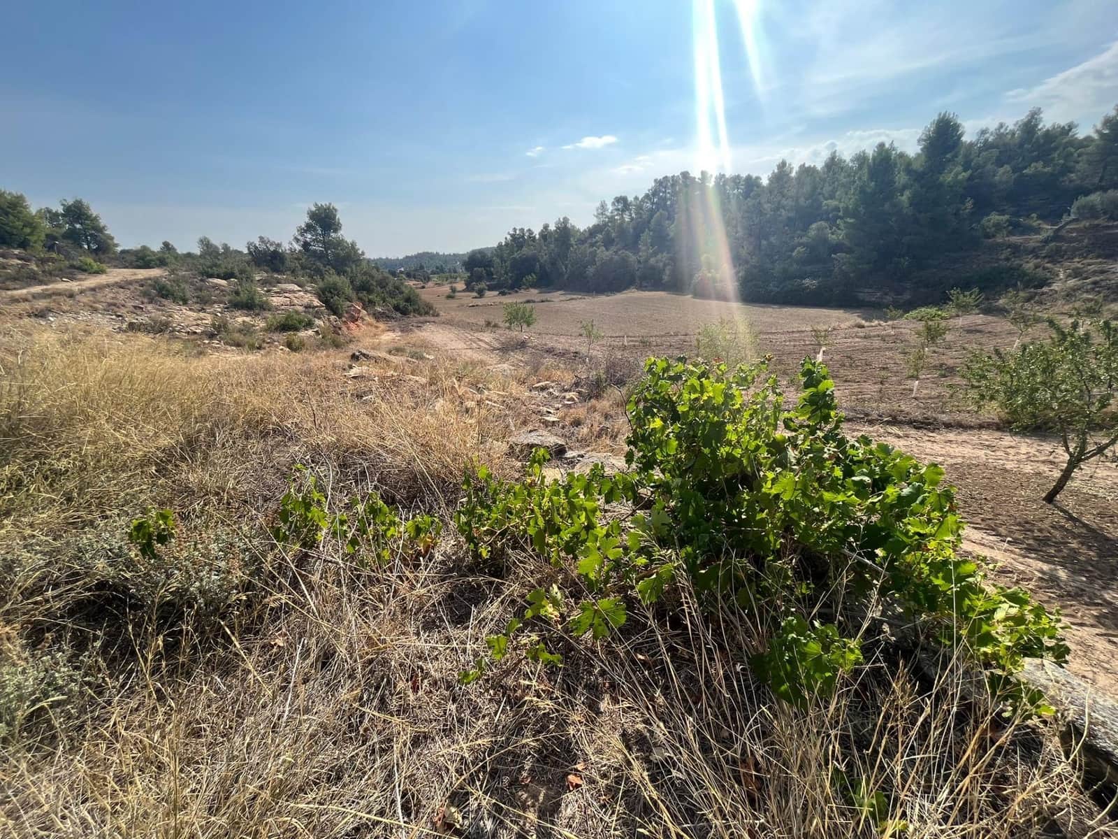 1 slaapkamer Finca/Landhuis te koop in Valjunquera - € 42.000 (Ref: 9150335)