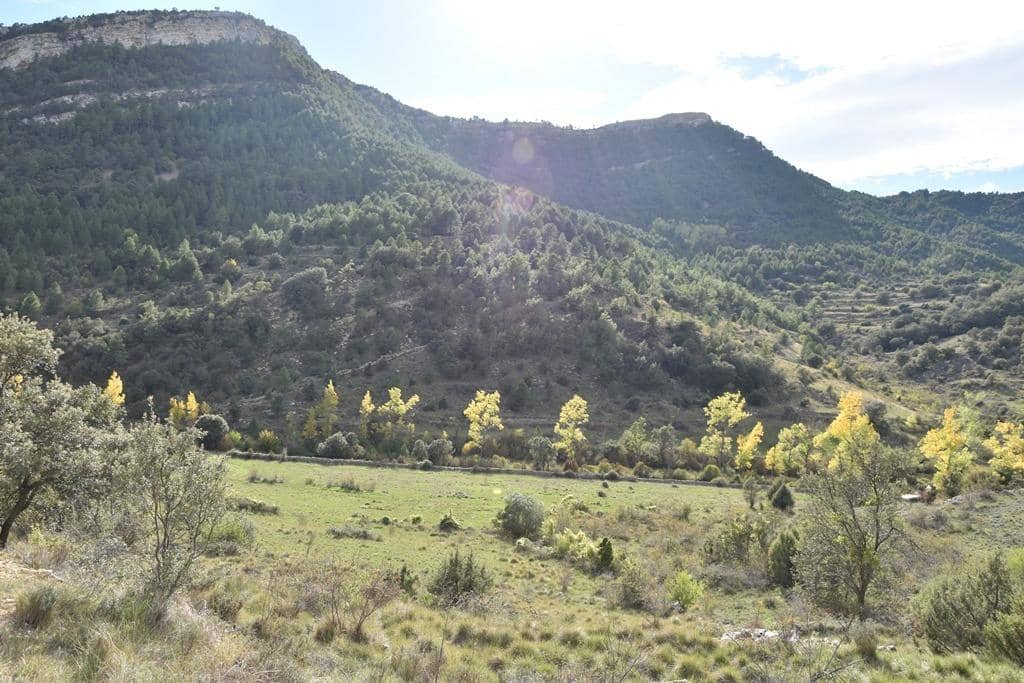 Finca/Country House for sale in Penarroya de Tastavins - € 150,000 (Ref: 9150340)