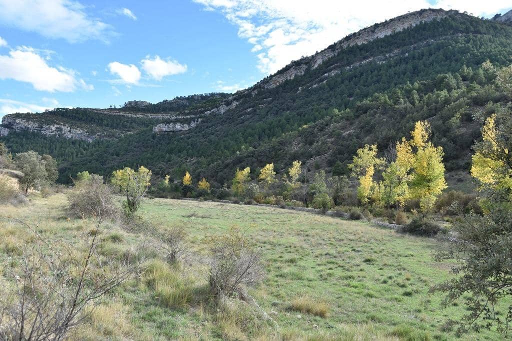 Finca/Country House for sale in Penarroya de Tastavins - € 150,000 (Ref: 9150340)