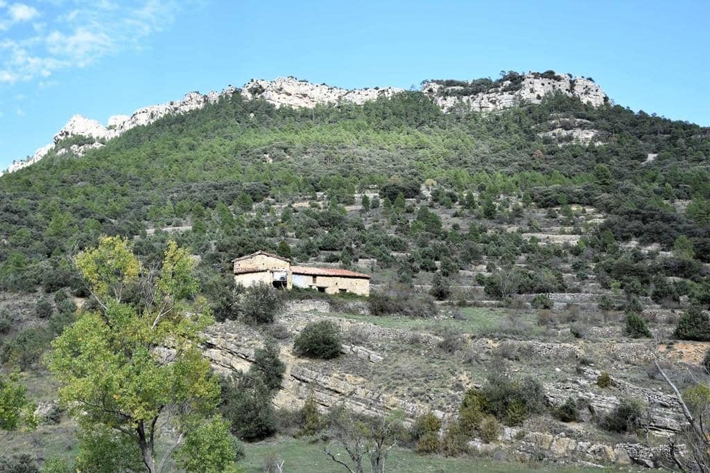 Finca/Country House for sale in Penarroya de Tastavins - € 150,000 (Ref: 9150340)