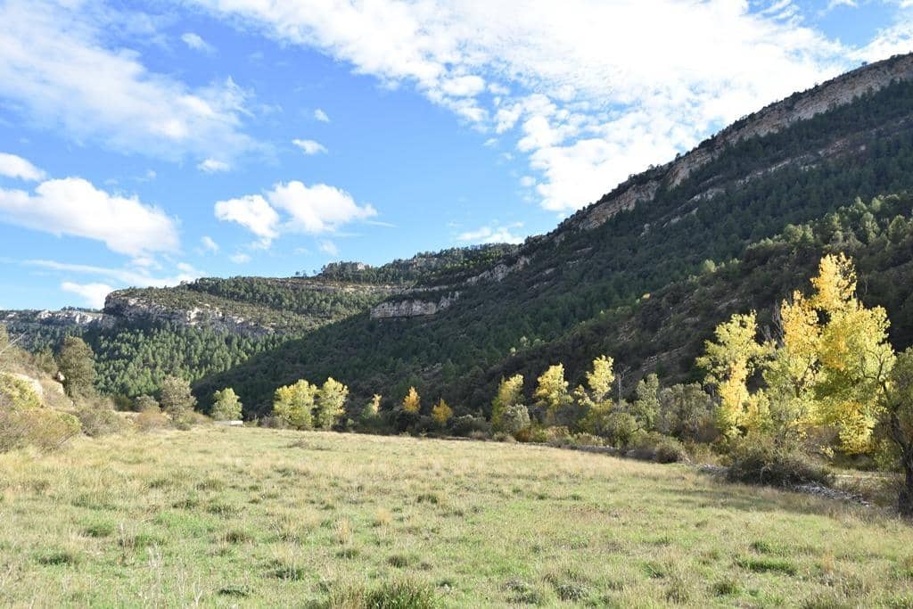 Finca/Country House for sale in Penarroya de Tastavins - € 150,000 (Ref: 9150340)