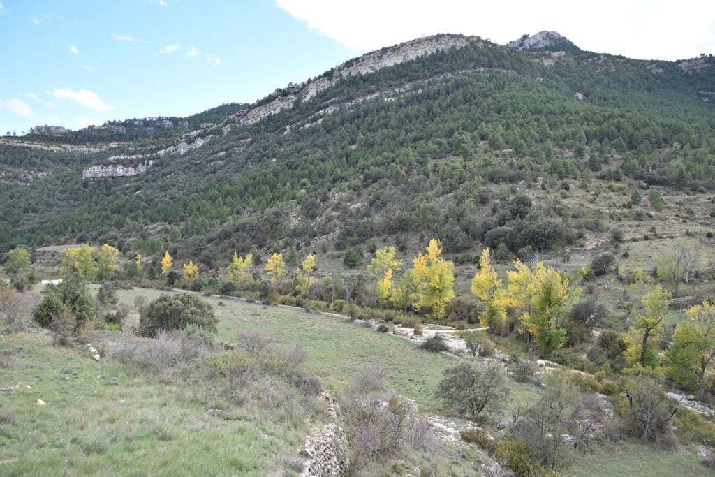 Finca/Country House for sale in Penarroya de Tastavins - € 150,000 (Ref: 9150340)