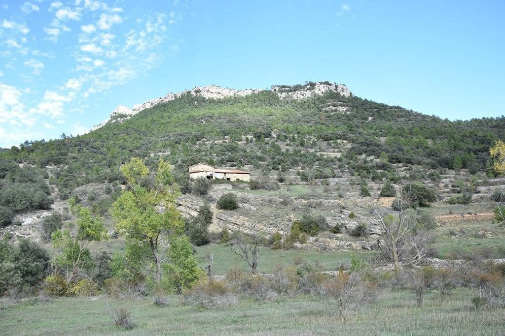 Finca/Country House for sale in Penarroya de Tastavins - € 150,000 (Ref: 9150340)