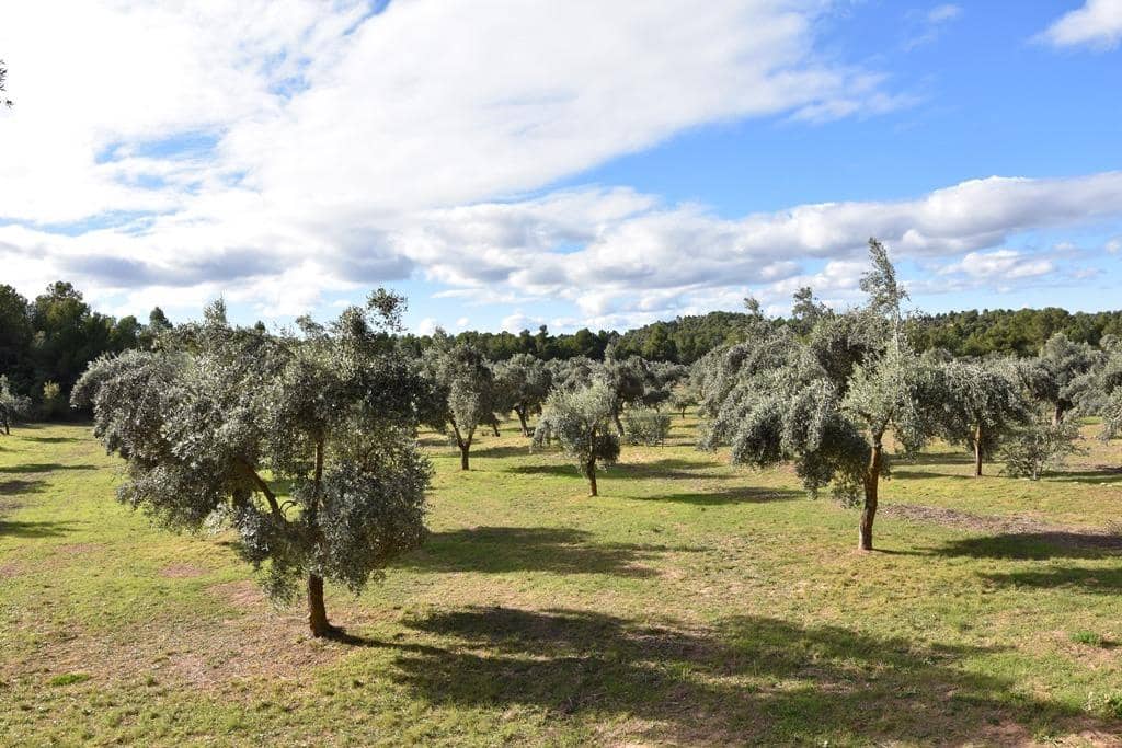 Finca/Landehus til salg i Cretas - € 115.000 (Ref: 9150342)