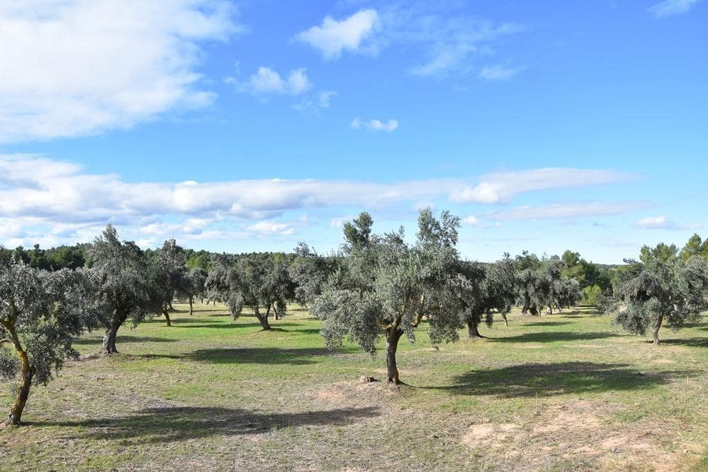 Finca/Landehus til salg i Cretas - € 115.000 (Ref: 9150342)