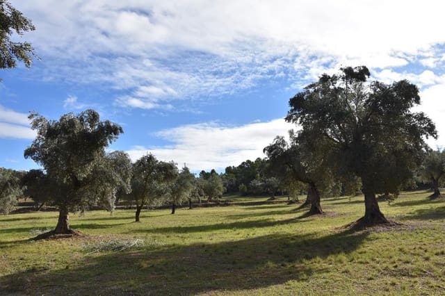 Finca/Landehus til salg i Cretas - € 115.000 (Ref: 9150342)