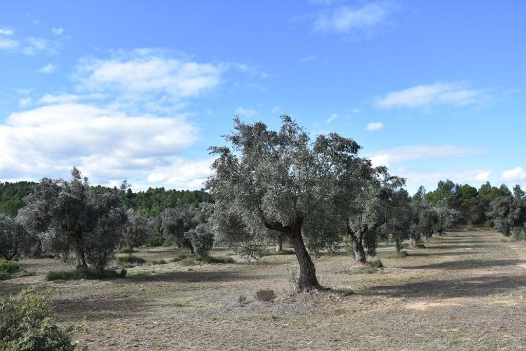 Finca/Landehus til salg i Cretas - € 115.000 (Ref: 9150342)