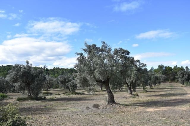 Finca/Landehus til salg i Cretas - € 115.000 (Ref: 9150342)