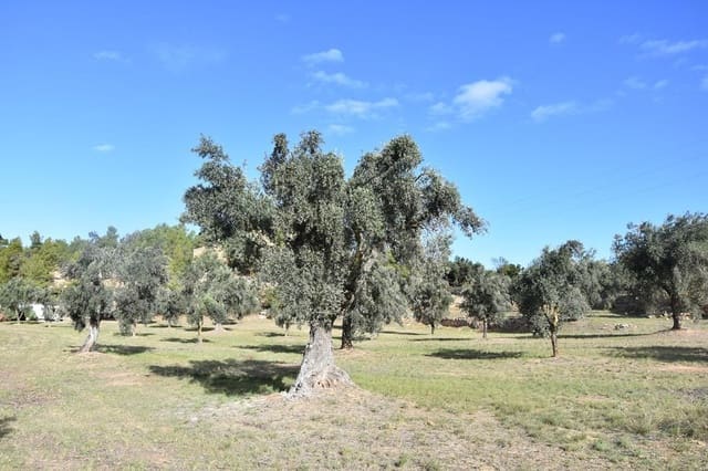 Finca/Landehus til salg i Cretas - € 115.000 (Ref: 9150342)