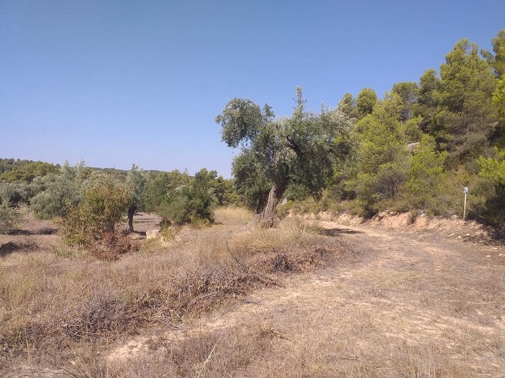 Finca/Landehus til salg i Cretas - € 115.000 (Ref: 9150342)