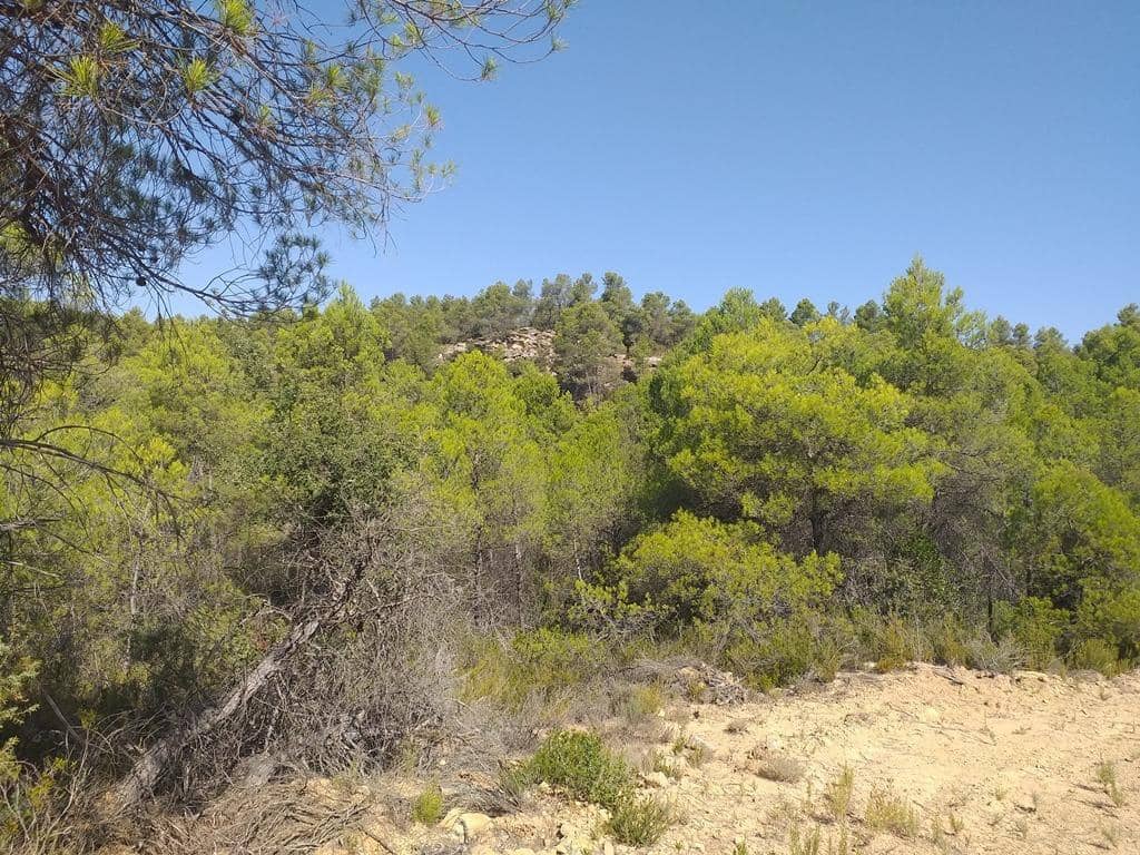 Finca/Landehus til salg i Cretas - € 115.000 (Ref: 9150342)