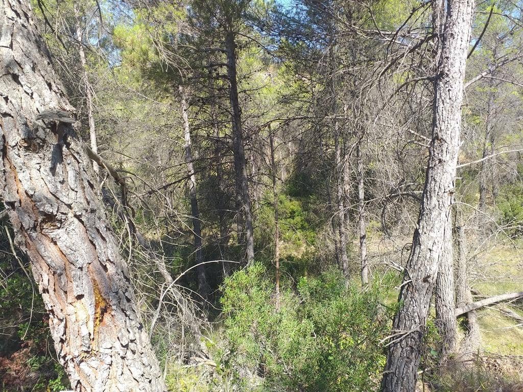 Finca/Landehus til salg i Cretas - € 115.000 (Ref: 9150342)