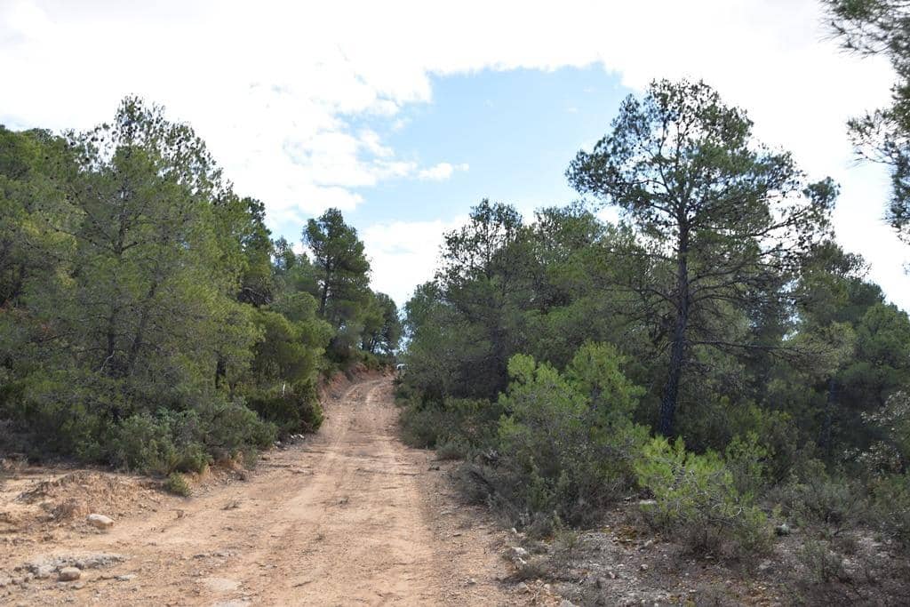 Finca/Landehus til salg i Cretas - € 115.000 (Ref: 9150342)