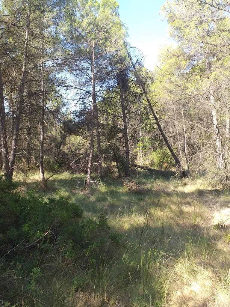 Finca/Landehus til salg i Cretas - € 115.000 (Ref: 9150342)