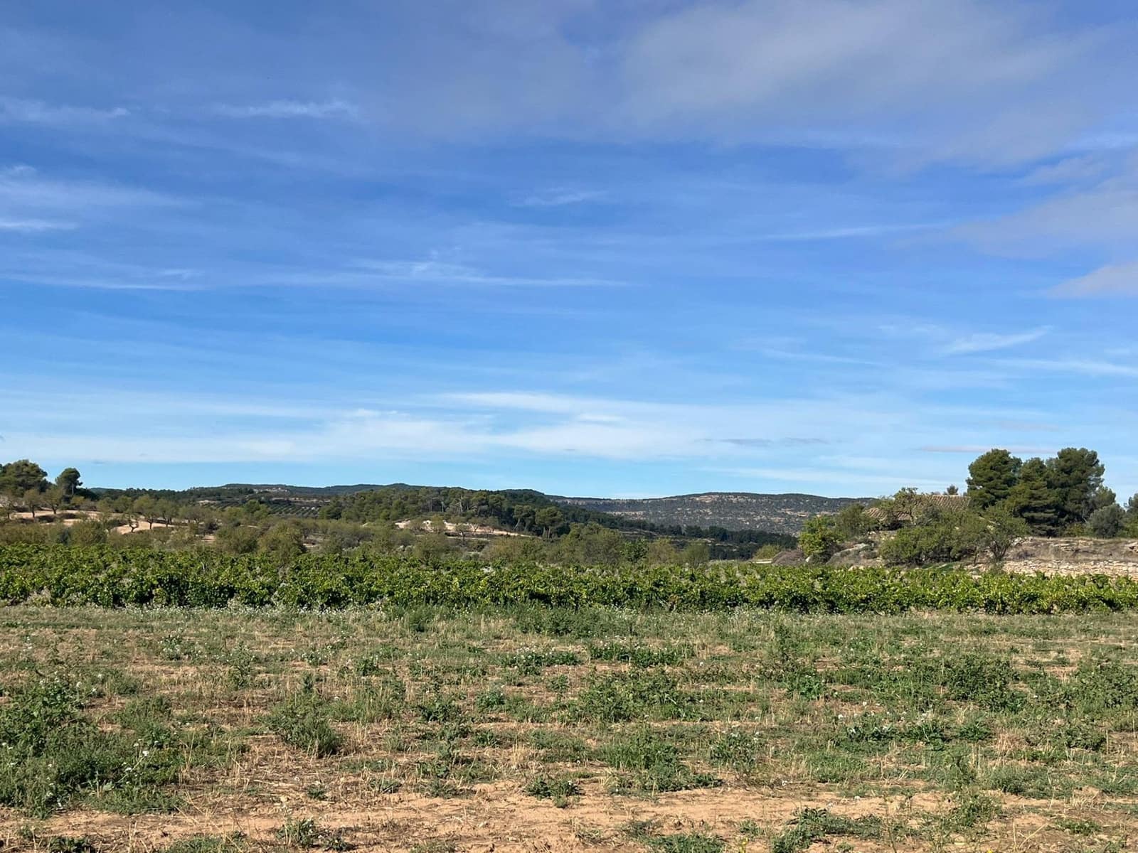 Finca/Country House for sale in Valderrobres - € 16,000 (Ref: 9150343)