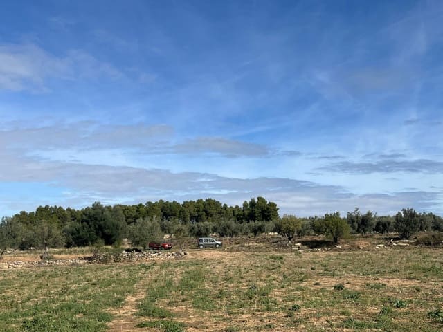 Finca/Landhuis te koop in Valderrobres - € 16.000 (Ref: 9150343)