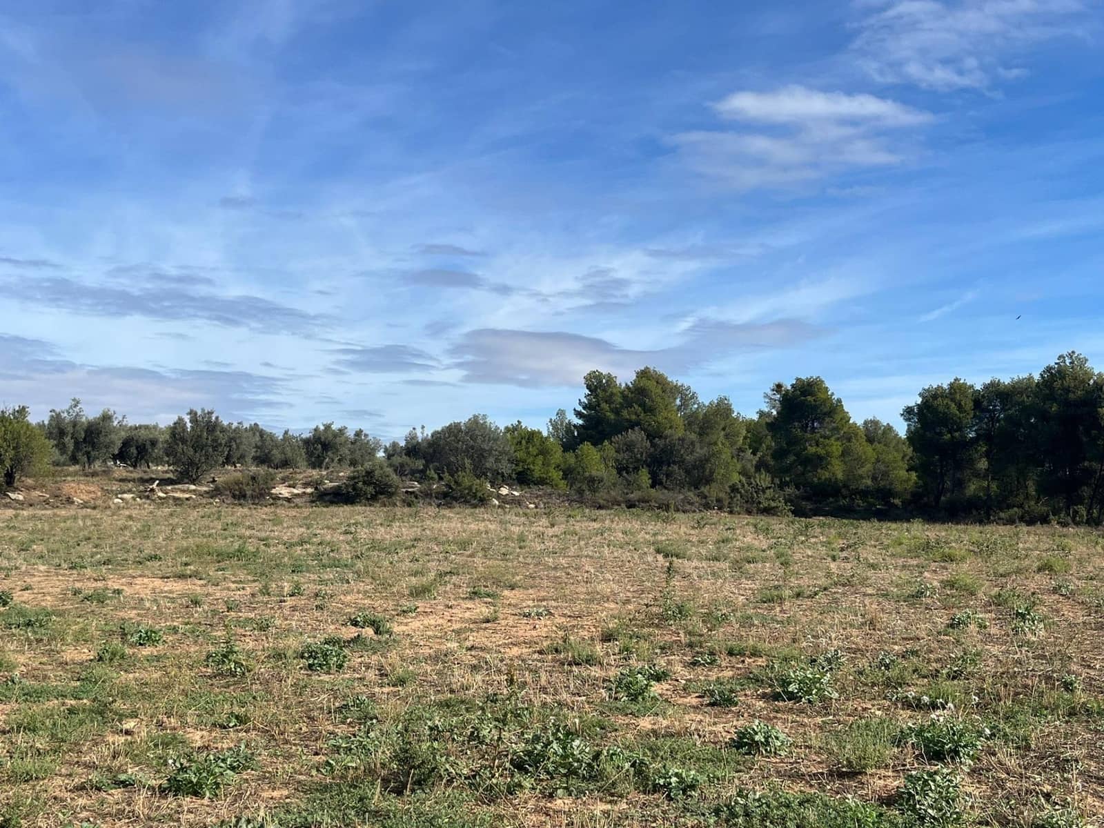 Finca/Country House for sale in Valderrobres - € 16,000 (Ref: 9150343)