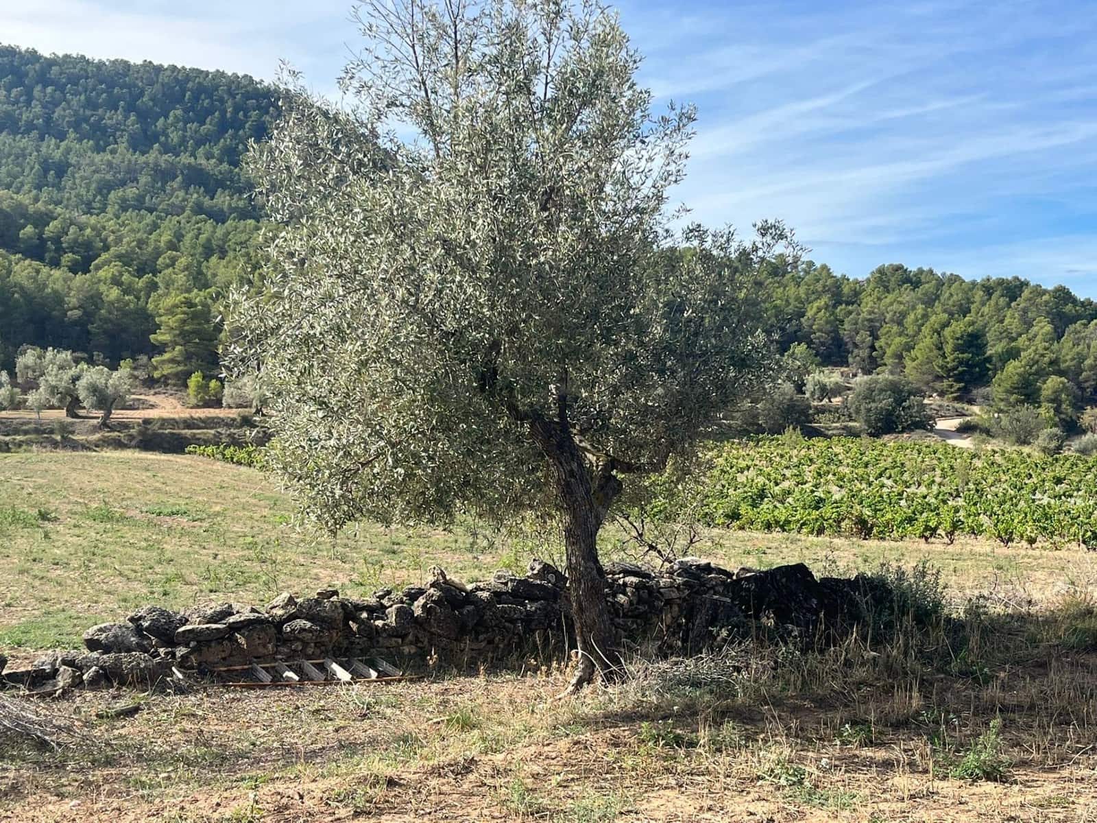 Finca/Country House for sale in Valderrobres - € 16,000 (Ref: 9150343)