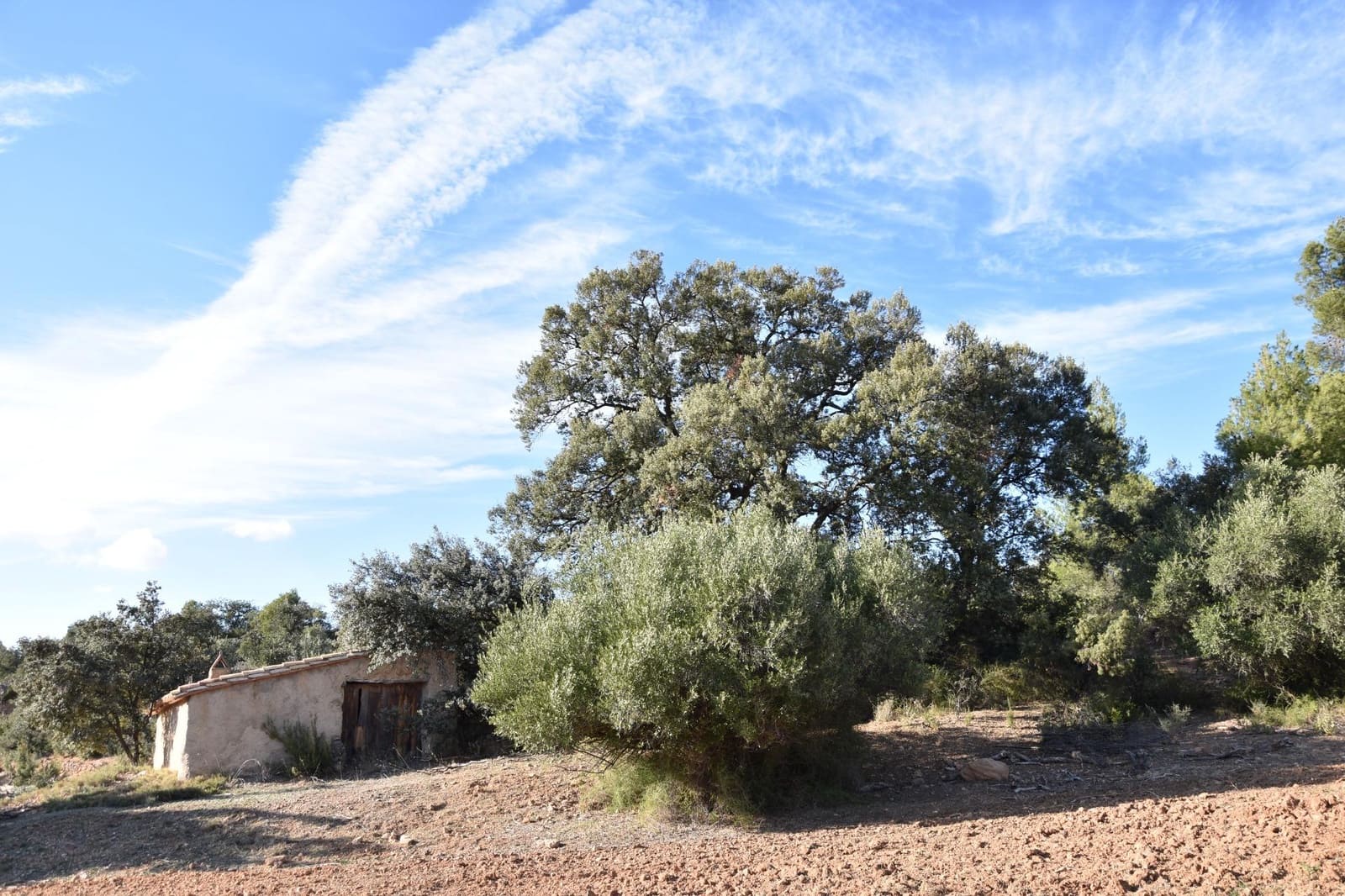 1 soveværelse Finca/Landehus til salg i Arnes - € 45.000 (Ref: 9150344)