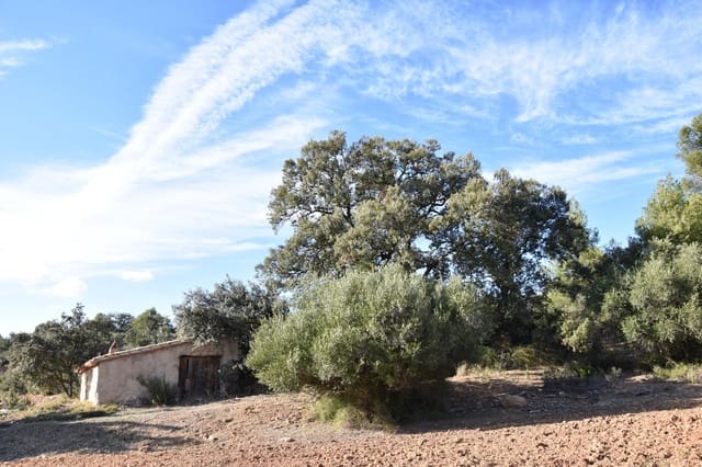 1 soveværelse Finca/Landehus til salg i Arnes - € 45.000 (Ref: 9150344)