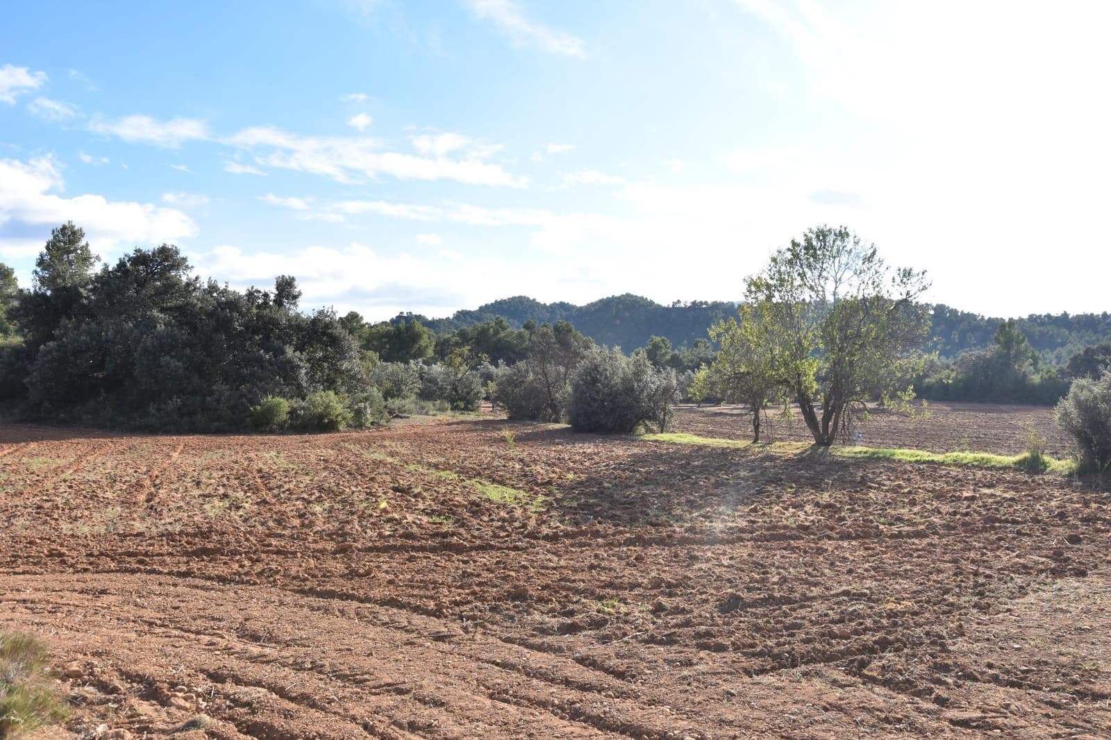 1 soveværelse Finca/Landehus til salg i Arnes - € 45.000 (Ref: 9150344)