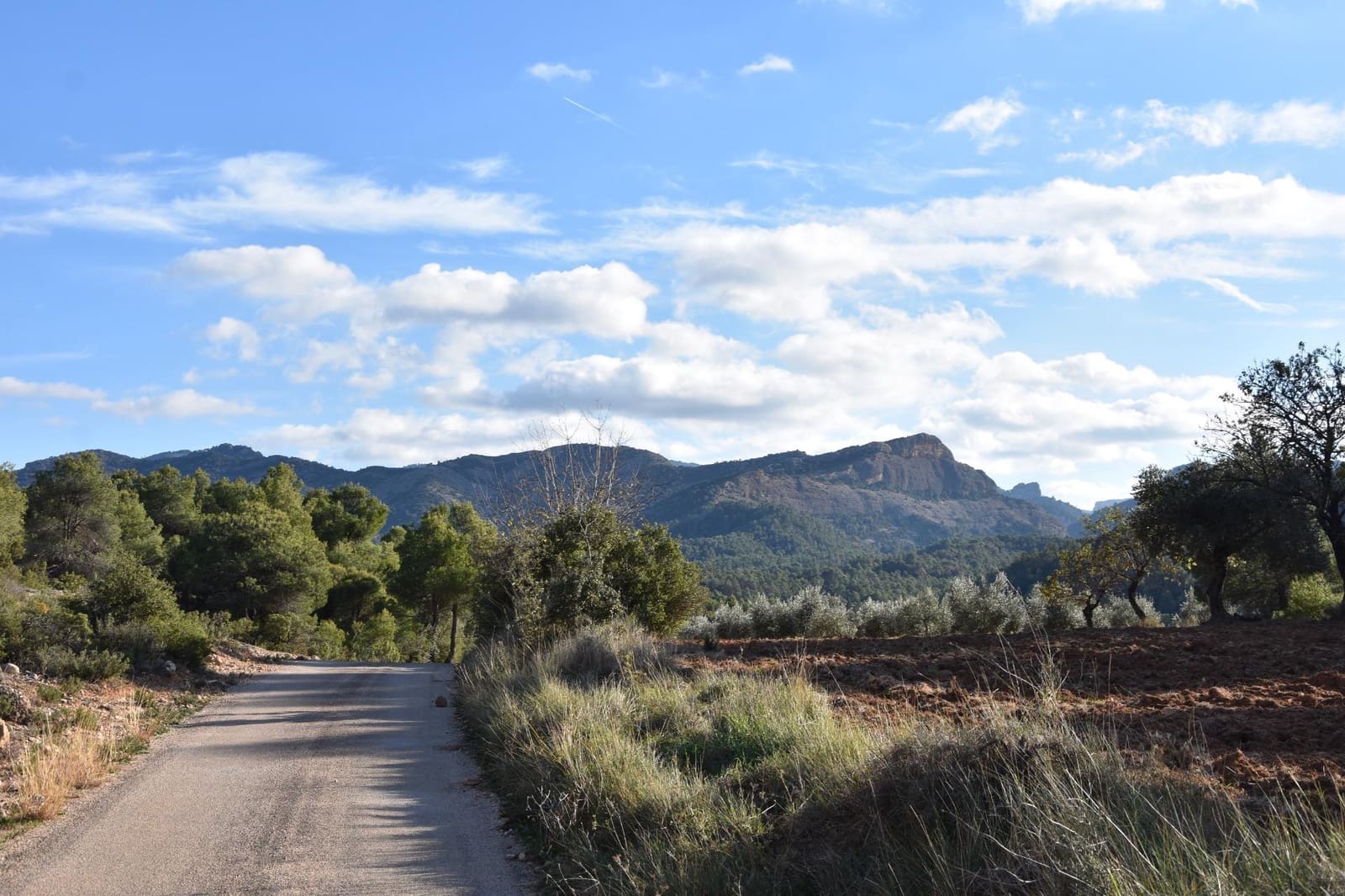 1 soveværelse Finca/Landehus til salg i Arnes - € 45.000 (Ref: 9150344)