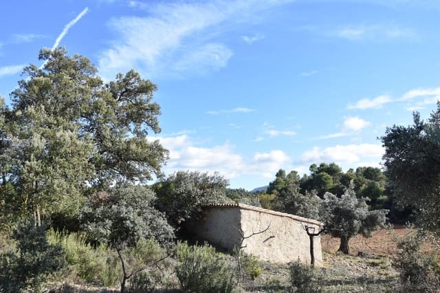 1 soveværelse Finca/Landehus til salg i Arnes - € 45.000 (Ref: 9150344)