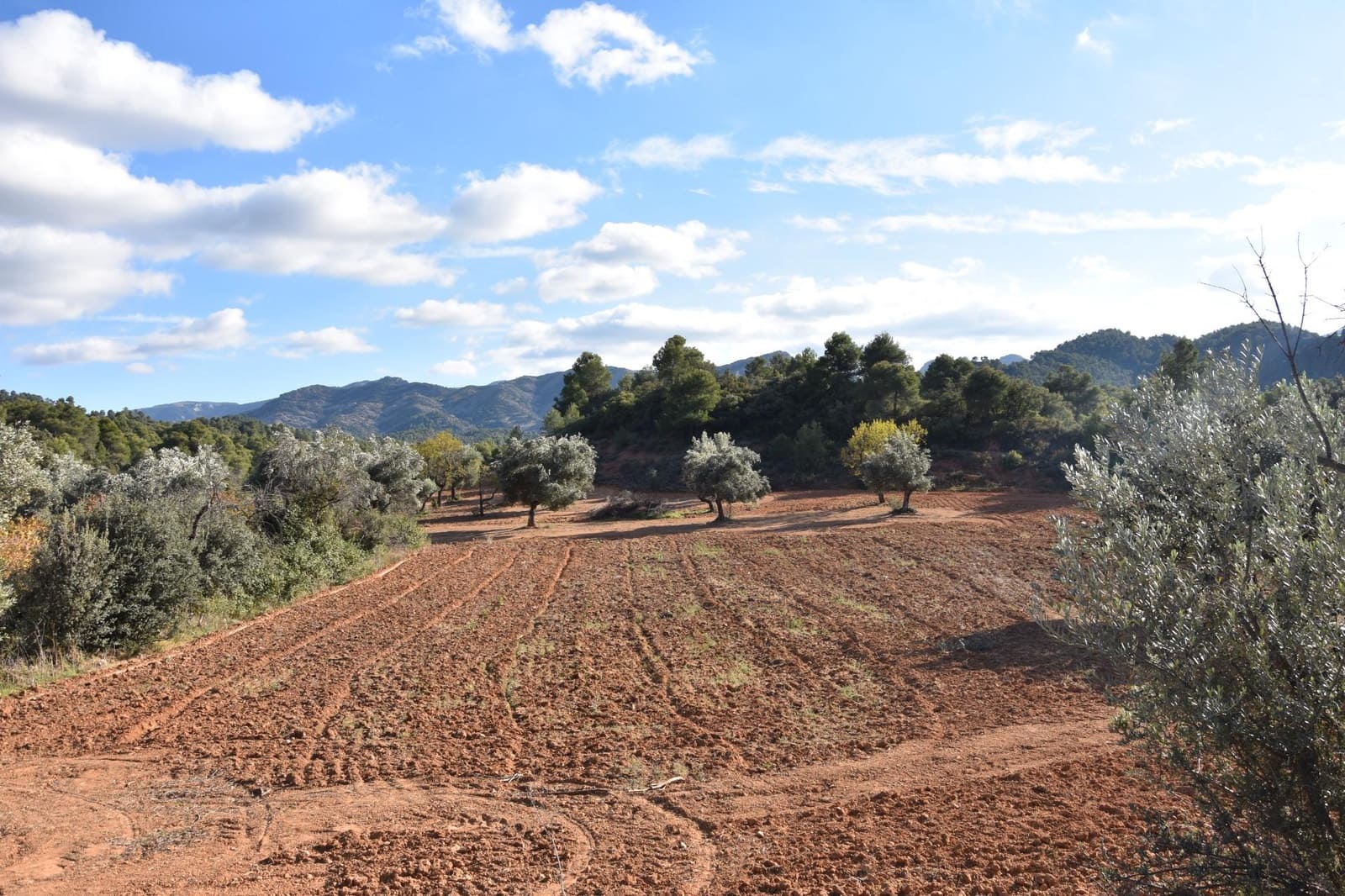 1 soveværelse Finca/Landehus til salg i Arnes - € 45.000 (Ref: 9150344)