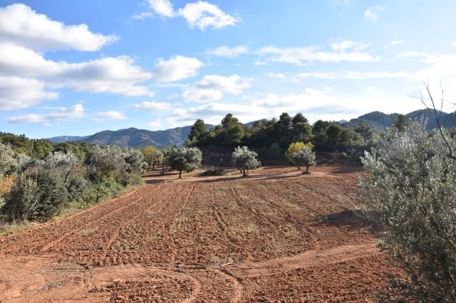 1 soveværelse Finca/Landehus til salg i Arnes - € 45.000 (Ref: 9150344)