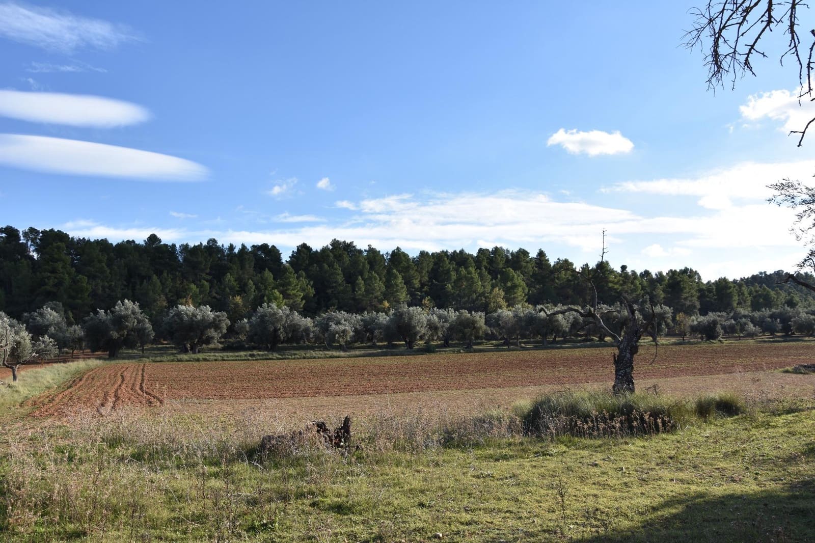 1 soverom Finca/Herregård til salgs i Arnes - € 35 000 (Ref: 9150345)