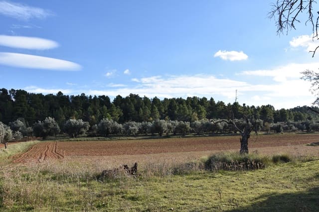 1 soveværelse Finca/Landehus til salg i Arnes - € 35.000 (Ref: 9150345)